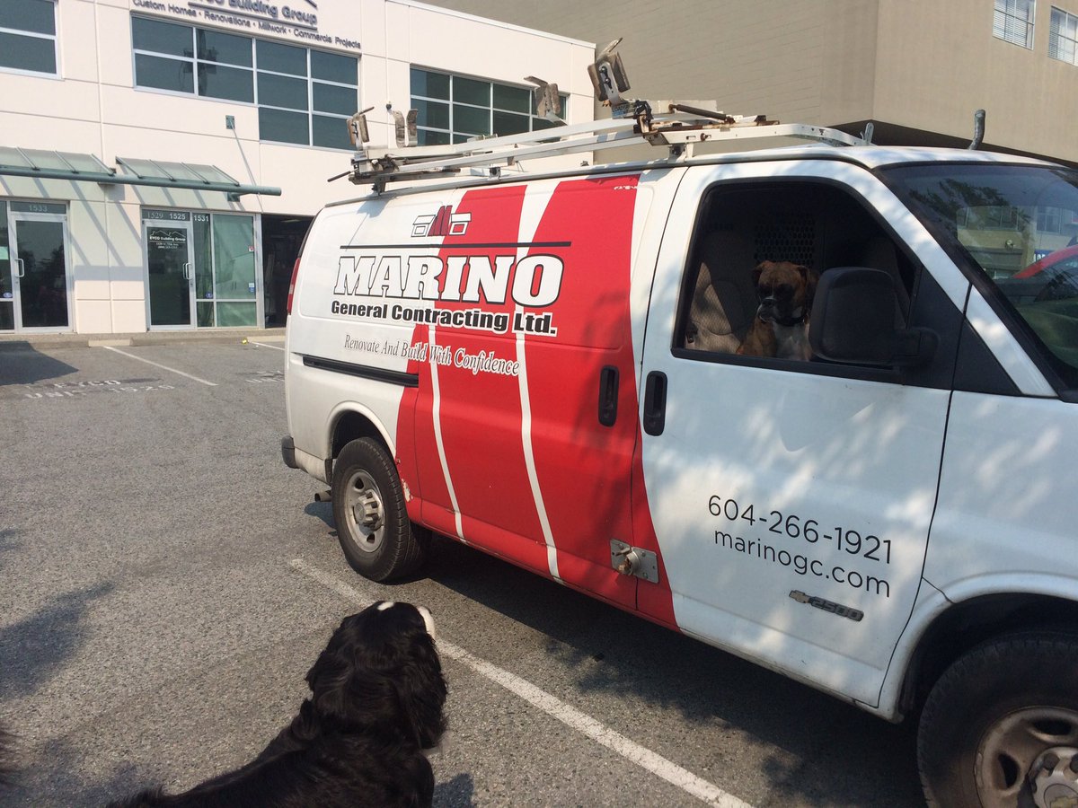 #marinogc now exclusively hiring #dogs 🐶#workdogs #bmd #boxer #yvr