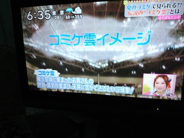 コミケ特集 独特のカルチャーとは 月曜から夜ふかし