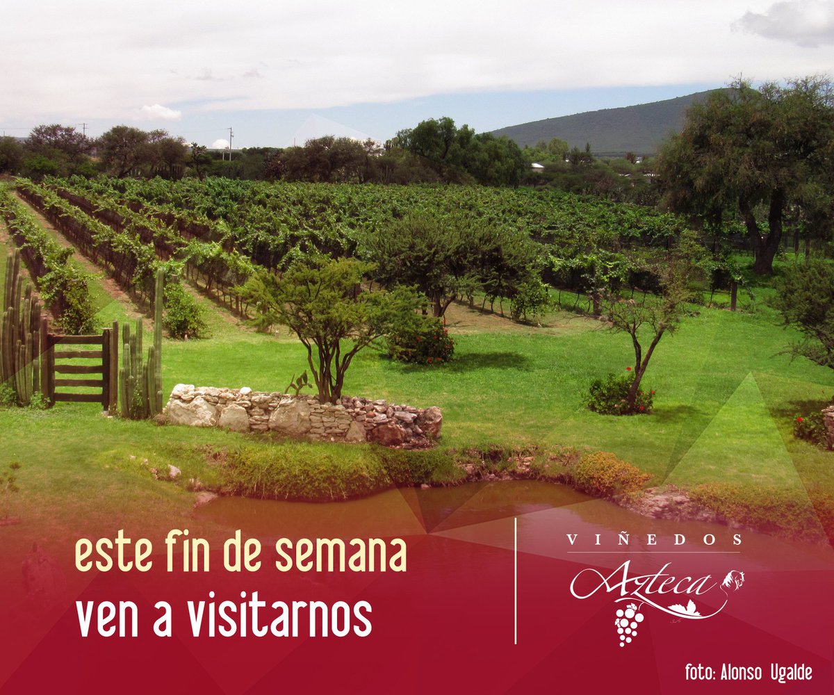 Te esperamos el día de mañana en los viñedos. 
Conócenos y reserva tu lugar en Nuestra Vendimia para el 16 de septiembre. #ViñedosAzteca.
