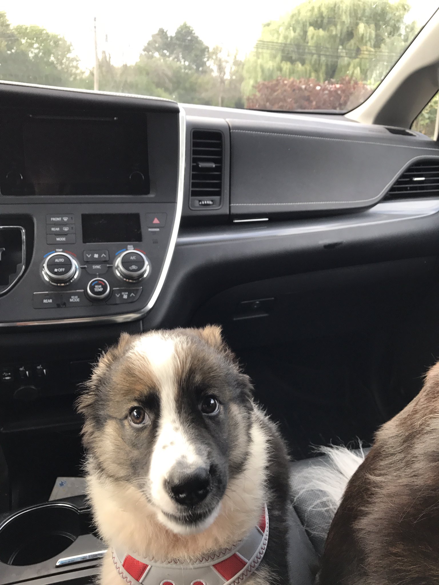 TW Pornstars - 1 pic. Katie Murch. Twitter. When someone bumps into you