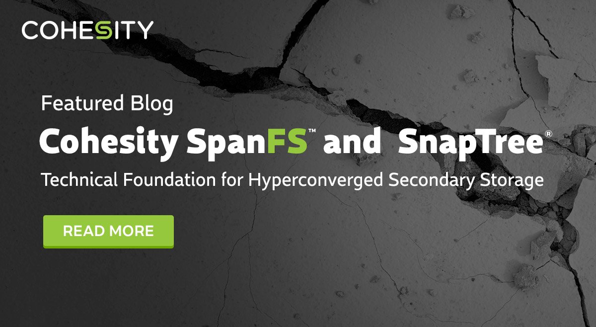 TheCodeSinger's tweet image. Check out @Cohesity SpanFS &amp;amp; SnapTree: Our Technical Foundation for #Hyperconverged Secondary Storage gag.gl/lQwfxV