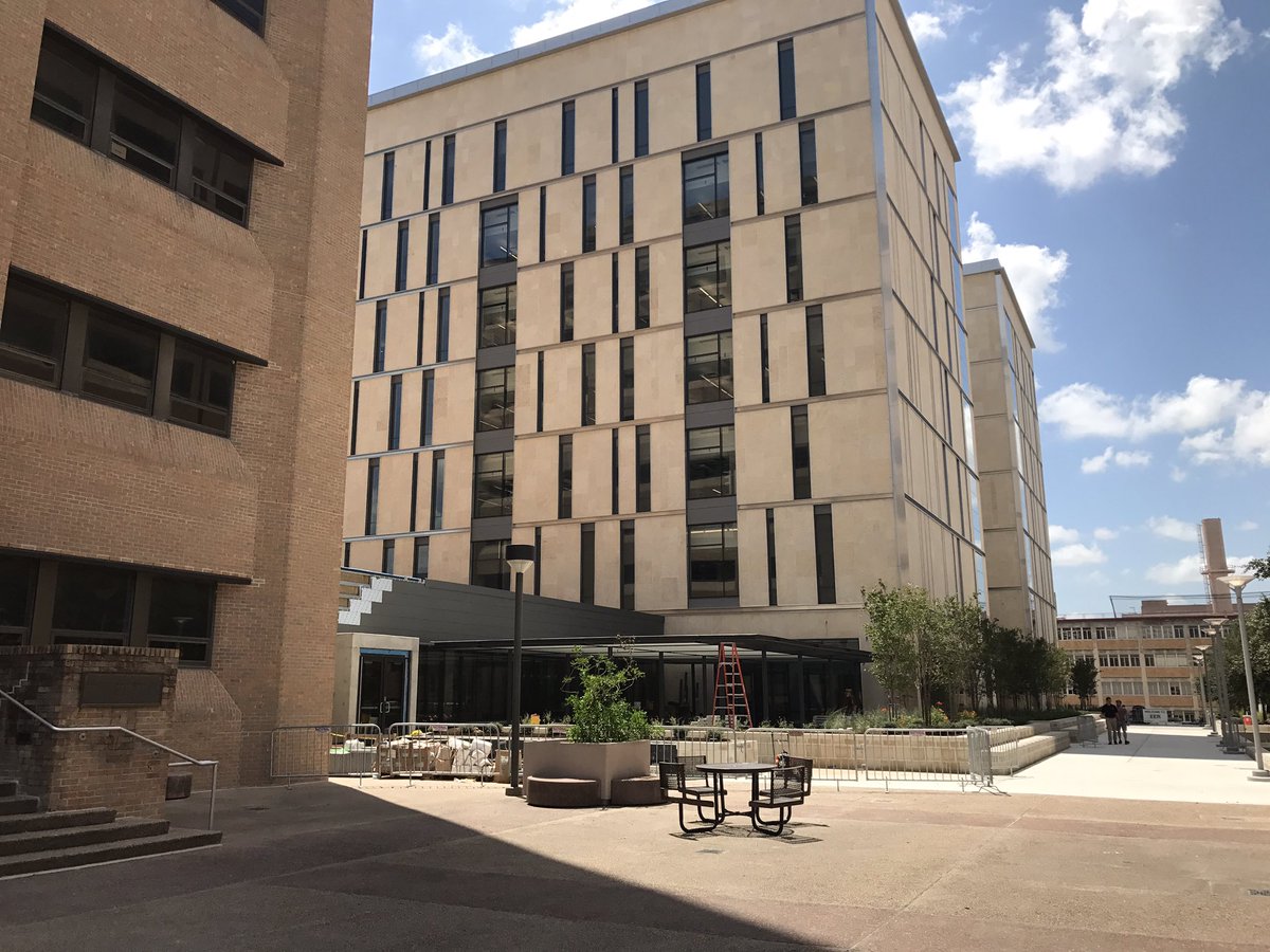 Texas Engineering tweet media