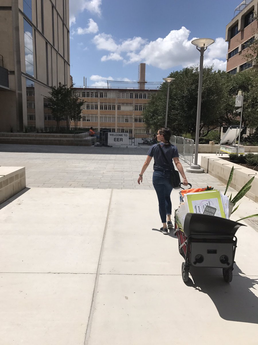 Texas Engineering tweet media