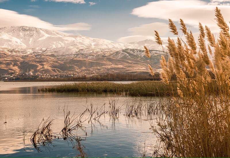 İŞTE İDEAL 11'imiz
HARPUT
AĞIN
ARICAK
ALACAKAYA
BASKİL
SİVRİCE
KEBAN
MADEN
KARAKOÇAN
KOVANCILAR
PALU
#CometoElazığ #Elazığagel