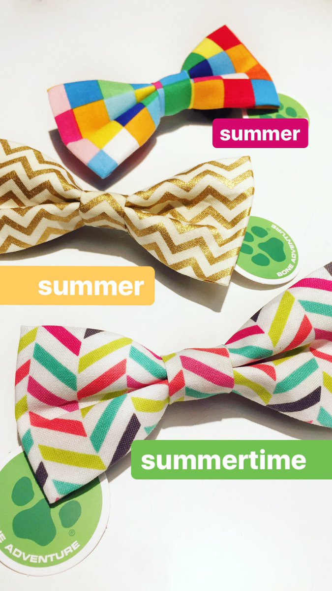 #summertime #dogbowties #newarrivals