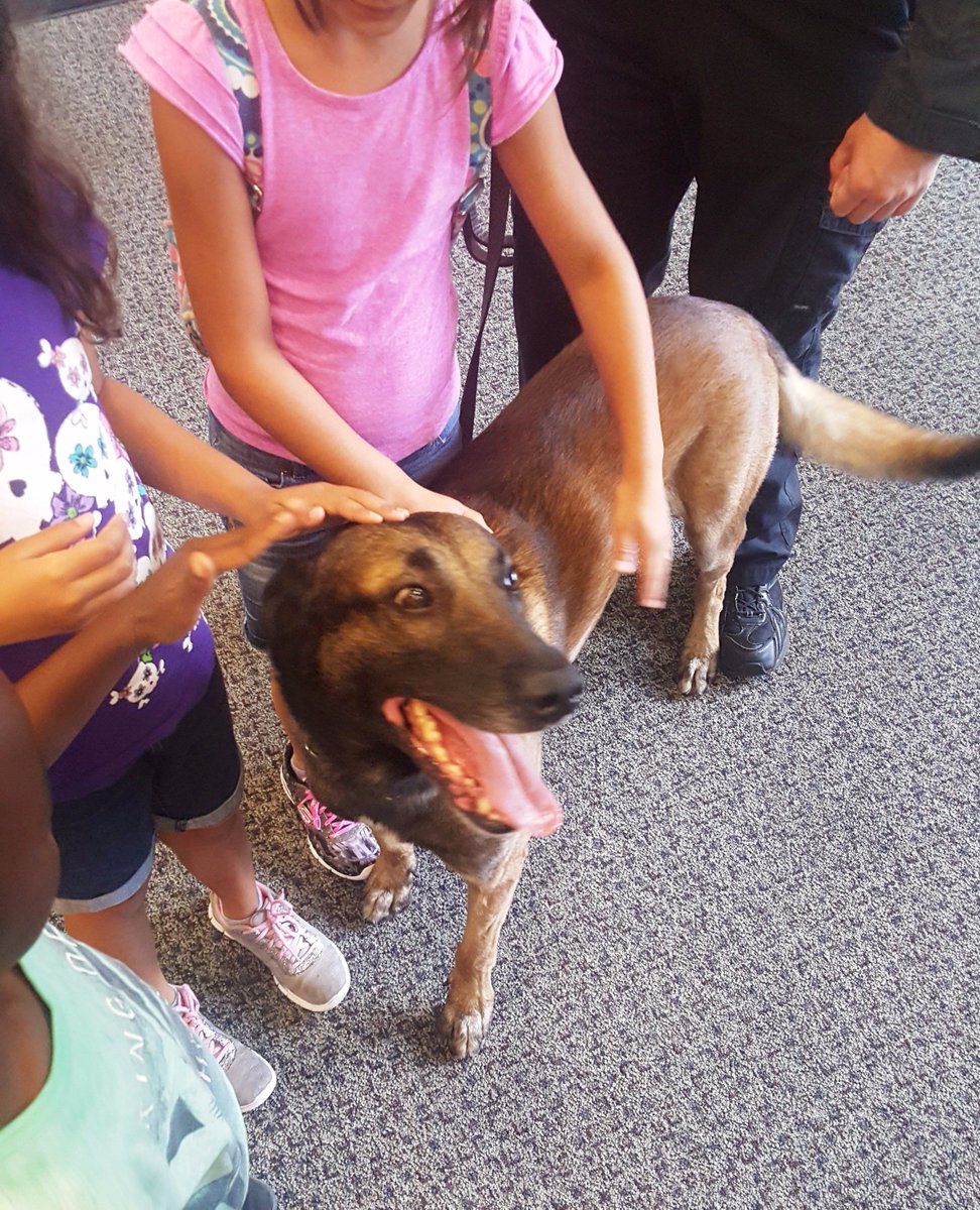 WP Summer Camp: Part 2 - SWAT &amp; K-9 presentations today. Brutus stole the show. Kids adored him &amp; he ❤️ loved the hugs!  #OurCommunity #WPPD