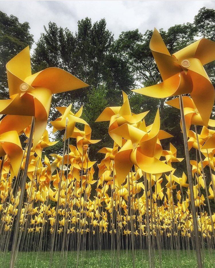 yulingdesigns's tweet photo. And it was all yellow. 💛#color #yellow #connectiveproject #summer #art #installation #paper #print #brooklyn #nyc #prospectpark @GSBDigital https://t.co/GjTXtwKpfS