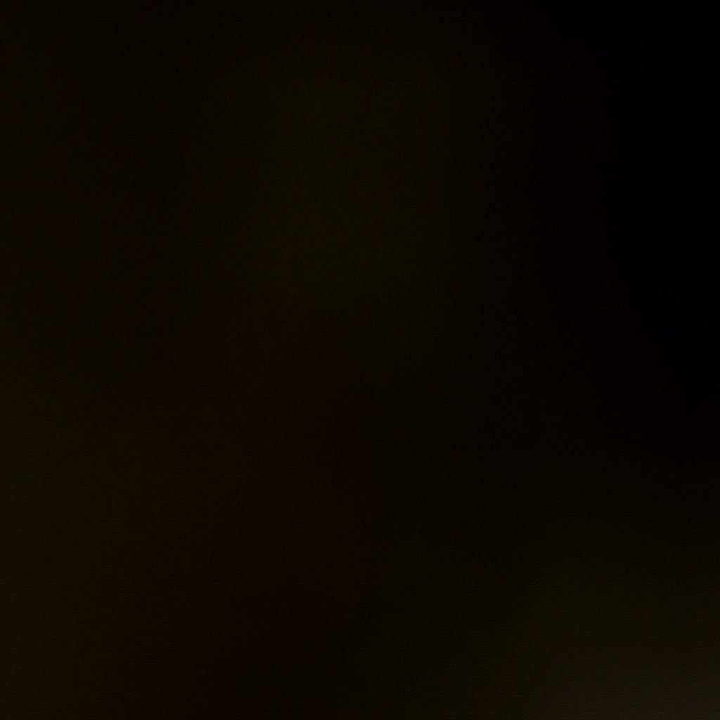 RomanGarit tweet picture