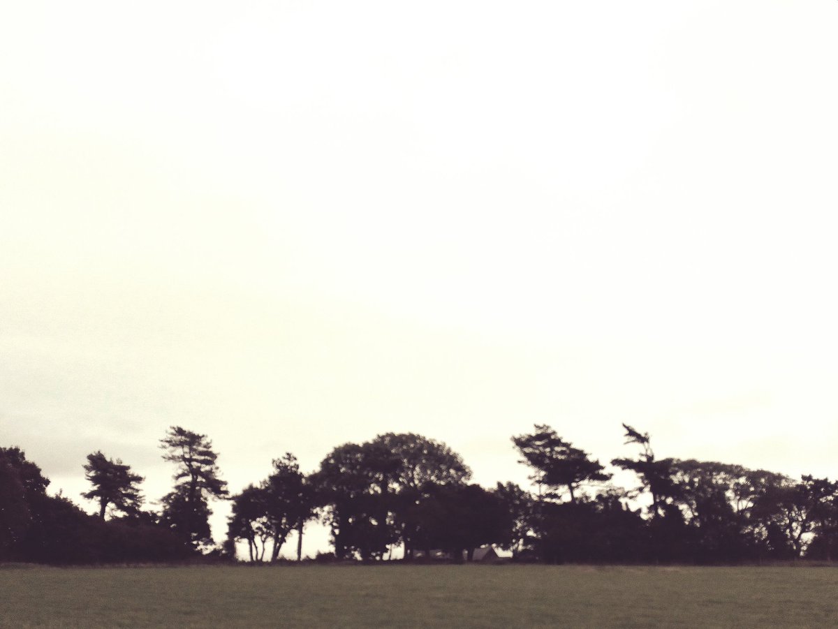 180 degree views of #cardiganbay with every pint. Magic.