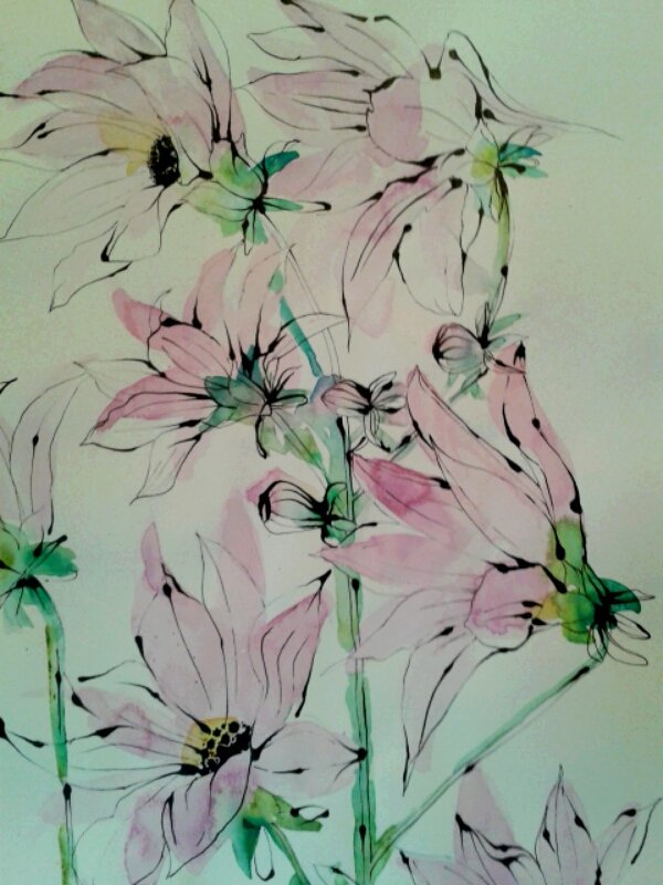 Jo Geraghty tweet media