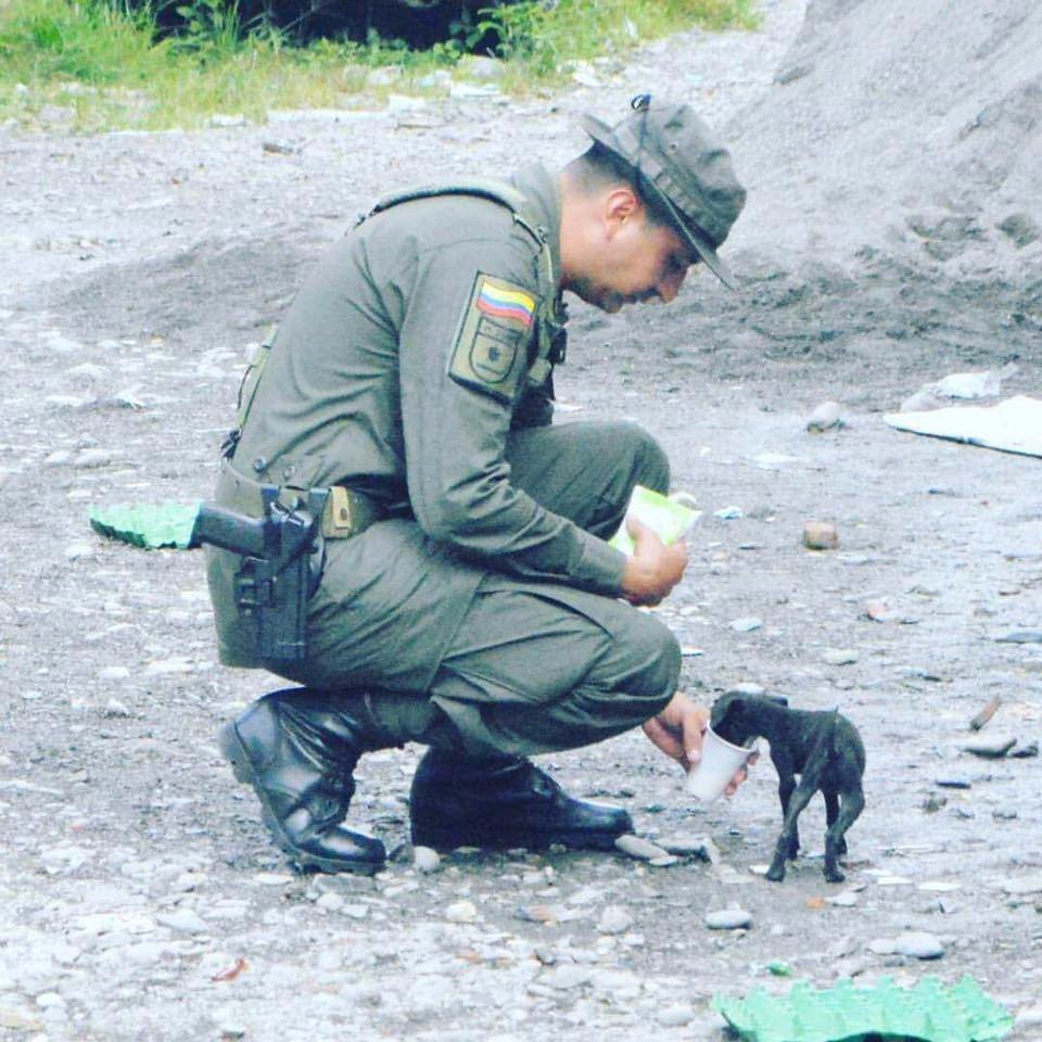 PoliciaColombia's tweet image. Los grandes actos se componen de pequeñas obras.-Lao Tzu. #FelizDomingo