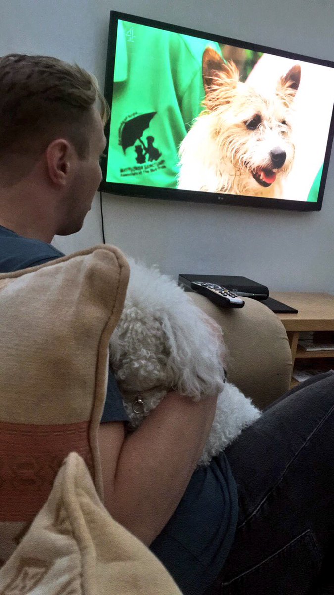 Watching their favourite @animalrescuewk #AnimalRescueLive 🐾
