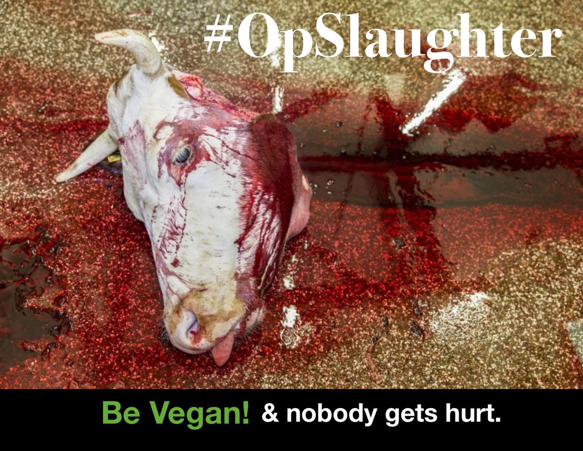 moodysally1's tweet photo. No one will bring flowers in his or her memory, only steak sauce to cover up the taste of death. #OpSlaughter #Vegan https://t.co/kfQGJTeSTt