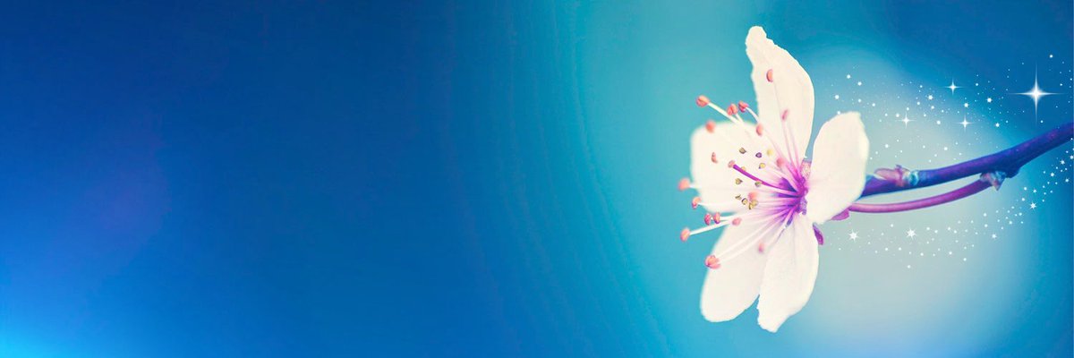 Designed Header tweet media