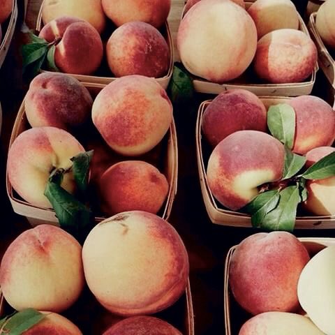 sizzyasplants's tweet photo. peaches are plants https://t.co/lTeTTVHt35