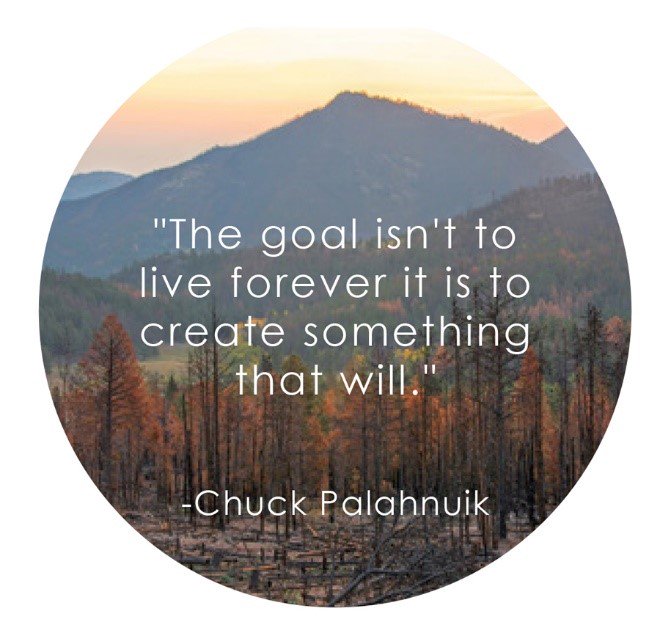 NoCo Foundation (@nocofoundation) on Twitter photo 