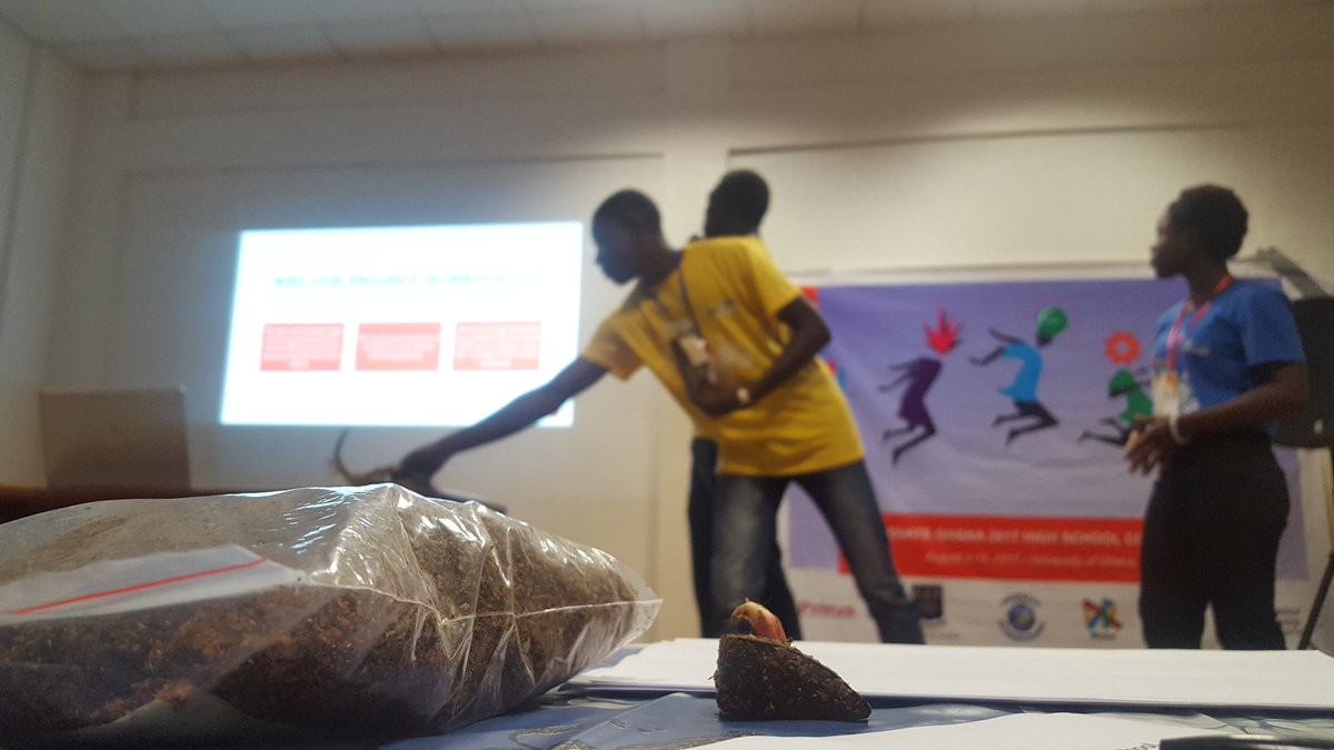 amma_aboagye's tweet photo. This is #multigrow, an innovation that gives tuber farmers a 20x yield with just a 2GHC investment. 😎 #innovateghana17 @innovateghana https://t.co/0OfBsyk8Qp