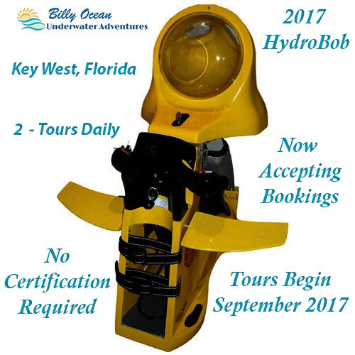 So excited to begin our Public tours. September 2017 can't come soon enough! Book your next tour now! 😍😁🎉🎊🏝️📢  #keywest #vacation #Travel