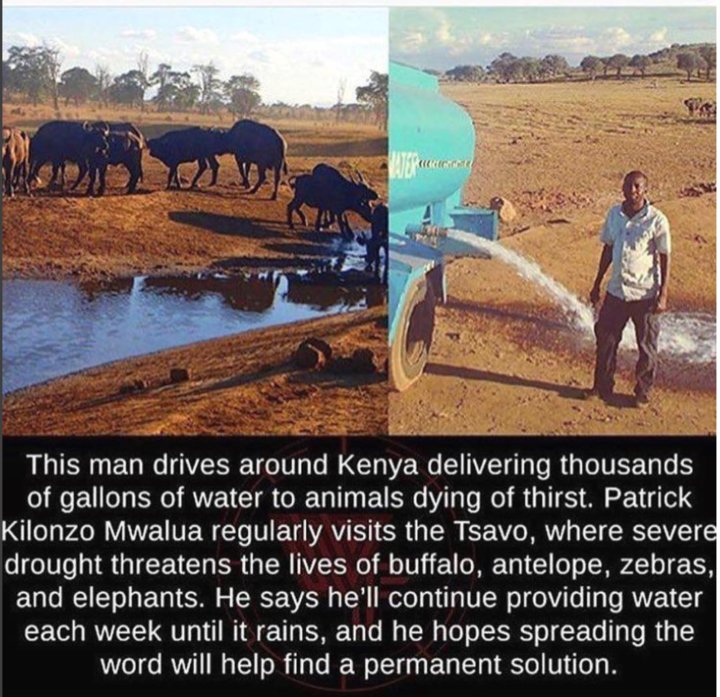 TheEllenShow's tweet image. Patrick, I love you. ellen.tv/2hSyMh9