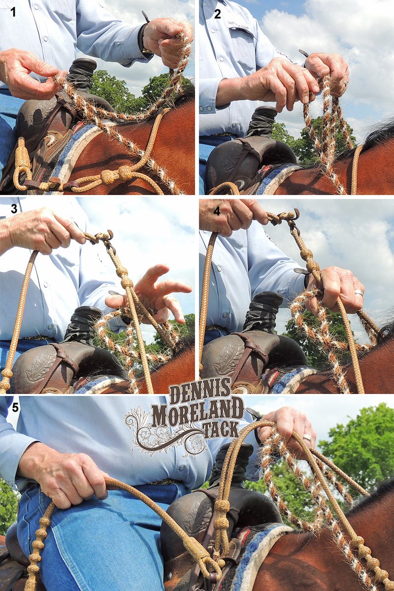 DmtackT's tweet photo. Want to learn how to hold romal reins & mecate (2 Rein)? Check out this legal method: https://t.co/apJptDb3qu
#NRCHA #tacktips #tacktalk https://t.co/MQwGIzJsn9