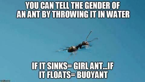 ResComPest's tweet image. #FridayFunny #PestHumor #RESCOM