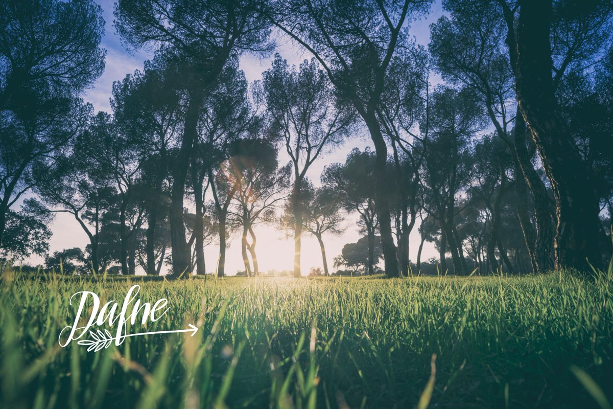 WeAreDafne's tweet image. As we work to create light for others, we naturally light our own way

photo: Alberto Restifo