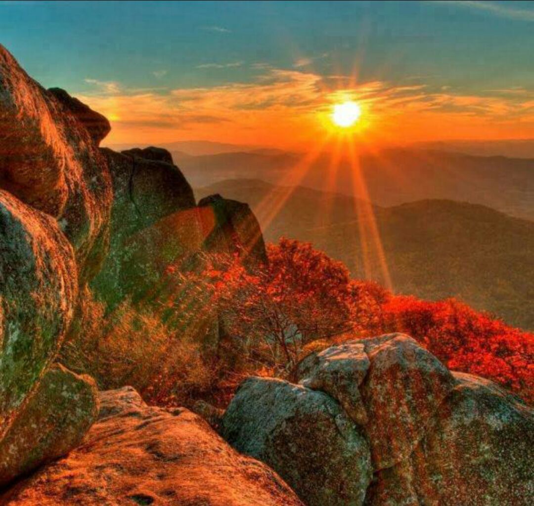 صقر السعودية (@shjfssd68955) on Twitter photo 