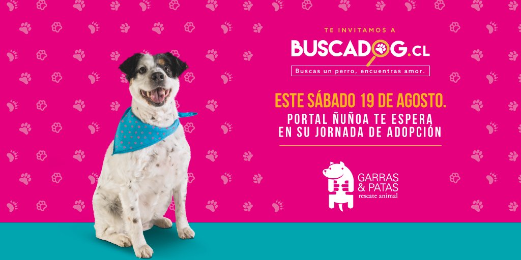 Encuentra a tu mejor amigo en nuestra jornada de adopción este 19 de agosto de 15:30 a
19:30hrs. bit.ly/2vreCQ8