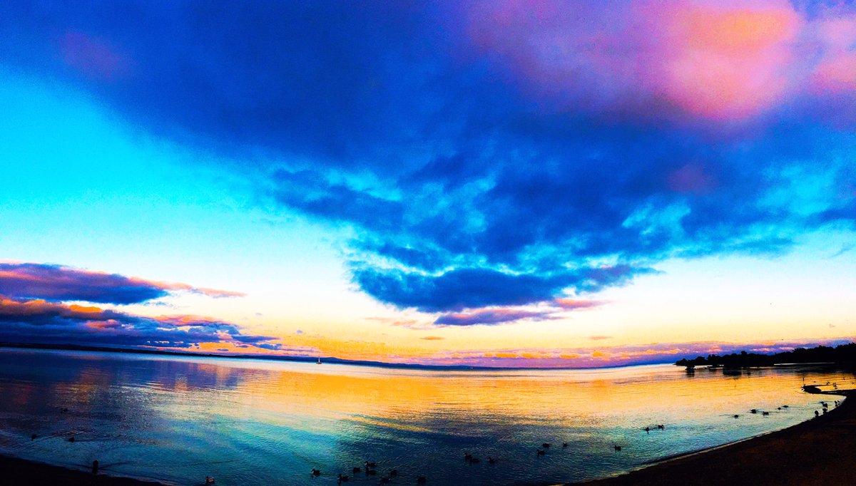 Gavin Williamson tweet media