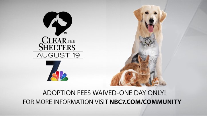 NBCSDCommunity's tweet photo. San Diego! Let's get ready to #ClearTheShelters on Saturday, August 19th! Adoption fees waived for one day only #NBC7 https://t.co/e9iFr2tZHZ