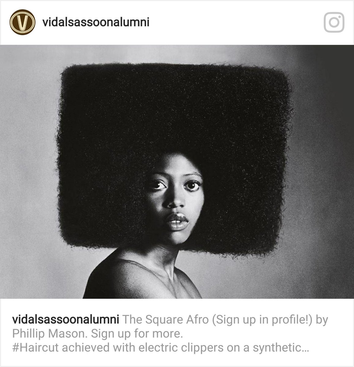 Vidal Sassoon Alumni Sassoonalumni Twitter