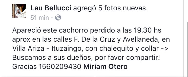 Orijuarez's tweet photo. Difundir porfavor❤️🐶 https://t.co/BwMMbTspcS