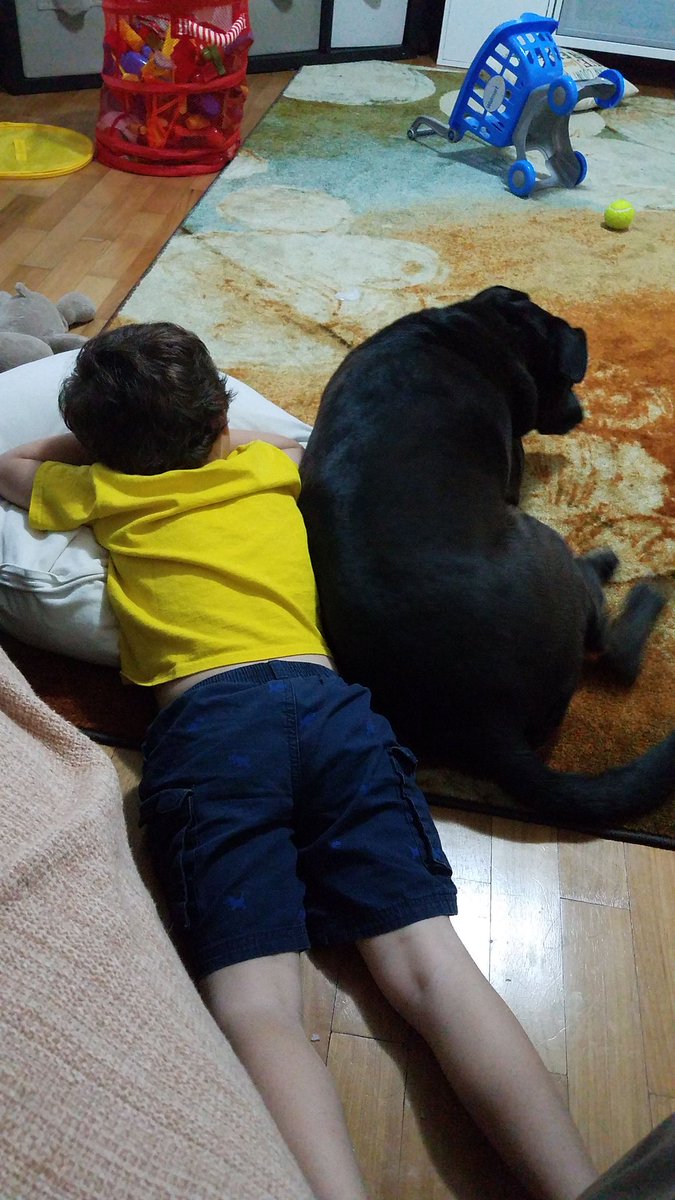 kabaucia's tweet photo. While I am working from my ๐ฑthese 2 are watching ๐บ, always toguether.
#WrapTheMap ๐ง๐ท
#Thankyouitworks
#workingfrom๐ง๐ท
@MarkBPentecost https://t.co/trPYE9j36o