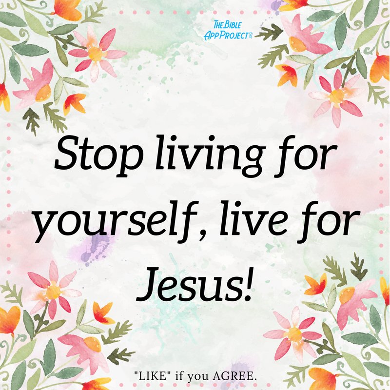 BibleAppProject's tweet image. Jesus died for us. 😊💕

Please say Amen and Pass On 🙏❤

Follow: instagram.com/the.bible.app.…

#BibleQuotes #BibleVerses #Inspiration #Prayers