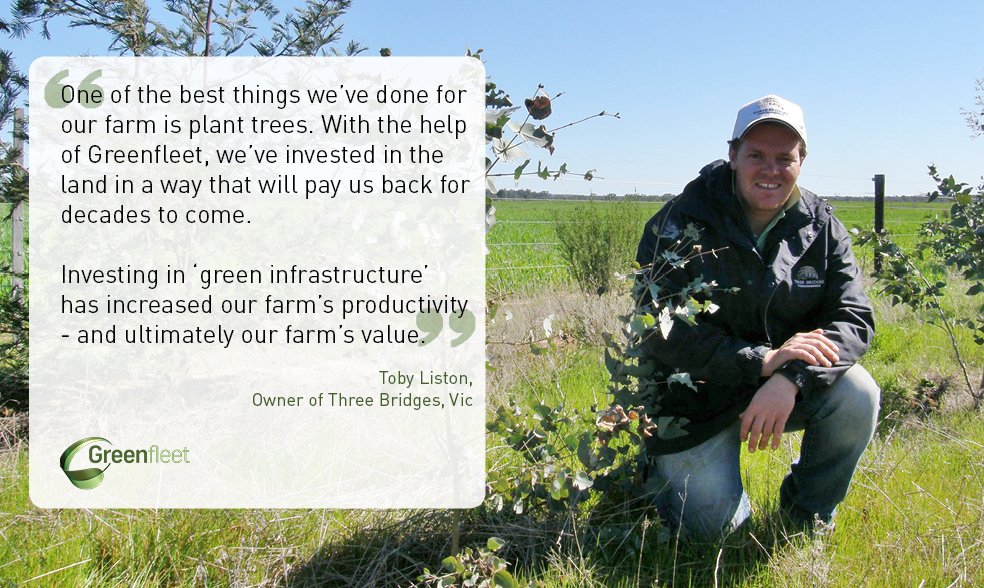 We're on the look out for land to plant trees on. Want to get a native  forest planted for free on your property? >> greenfleet.com.au/Landowners