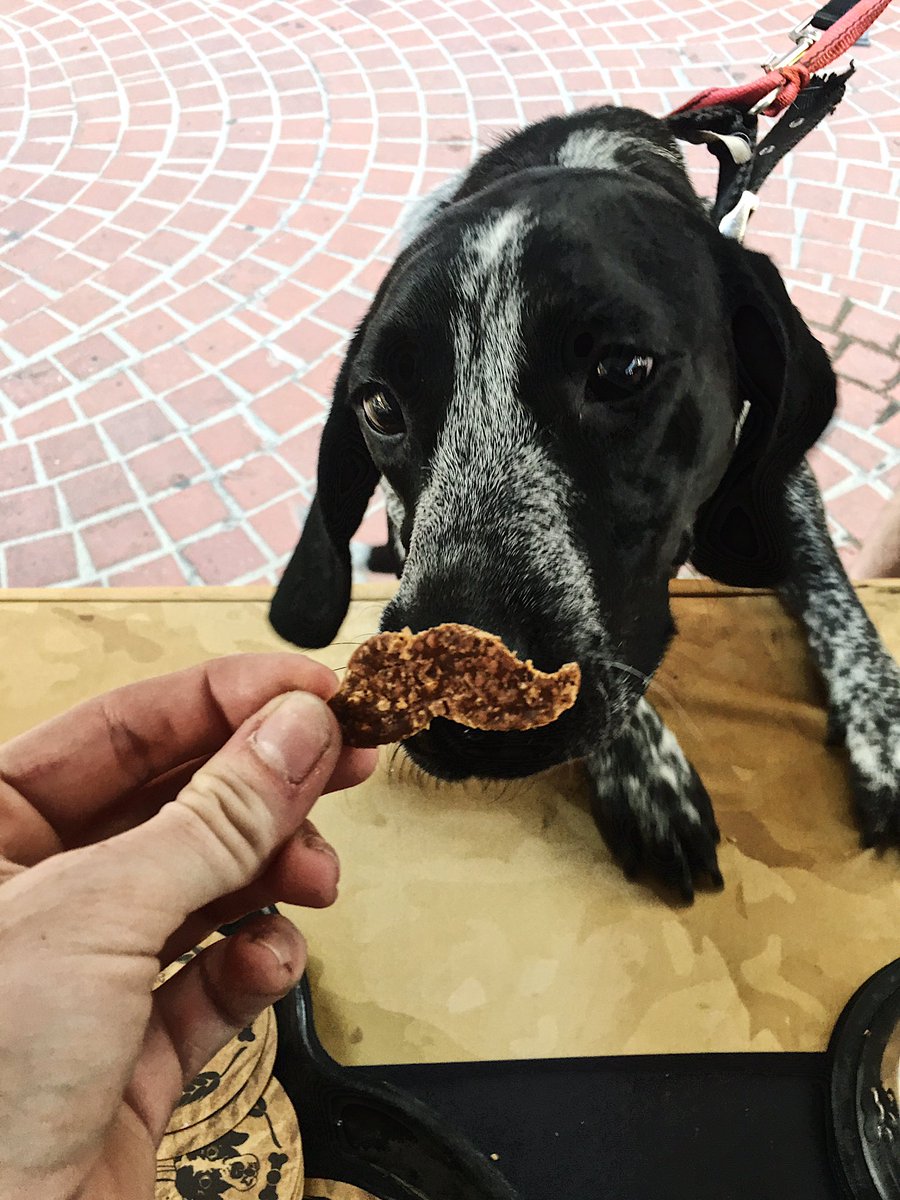 The Malted Mutt tweet media