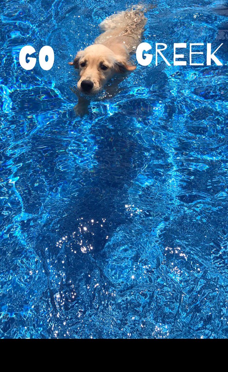 open for a surprise (: