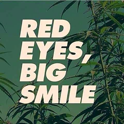 TahoeHydro's tweet photo. Calls for some sunglasses 😎 #redeyes #bigsmile #sunglasses #stoneressentials #cannabis #marijuana https://t.co/IKscQowrko
