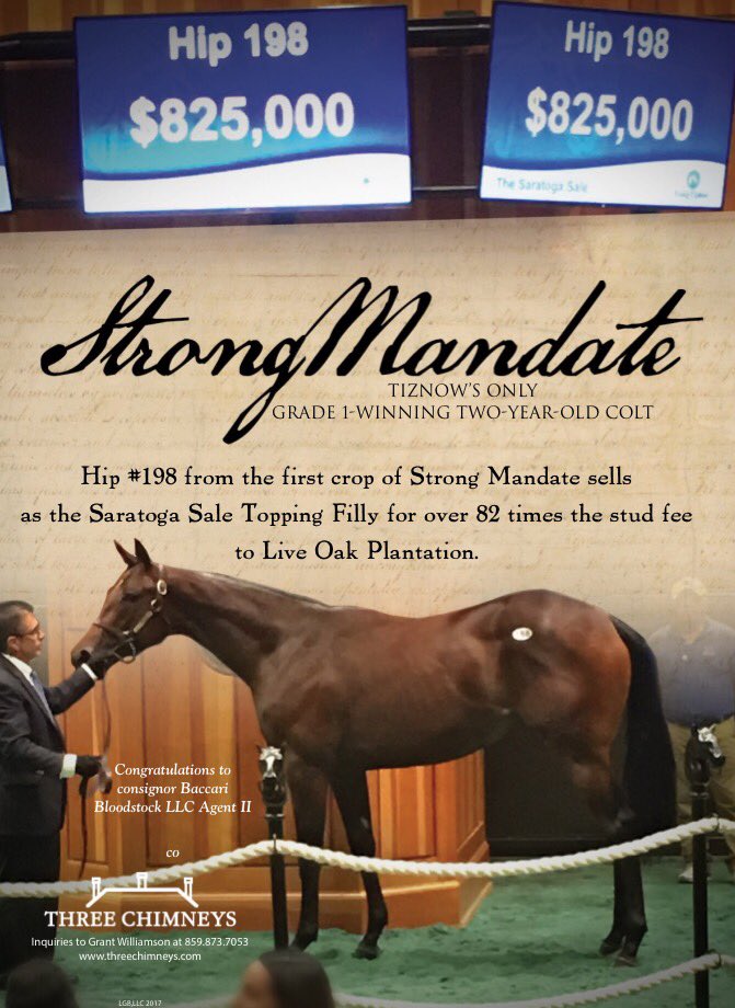 theTDN's tweet photo. Hip 198 from the first crop of Strong Mandate sells for over 82 times the stud fee. https://t.co/yNMA2n56kJ