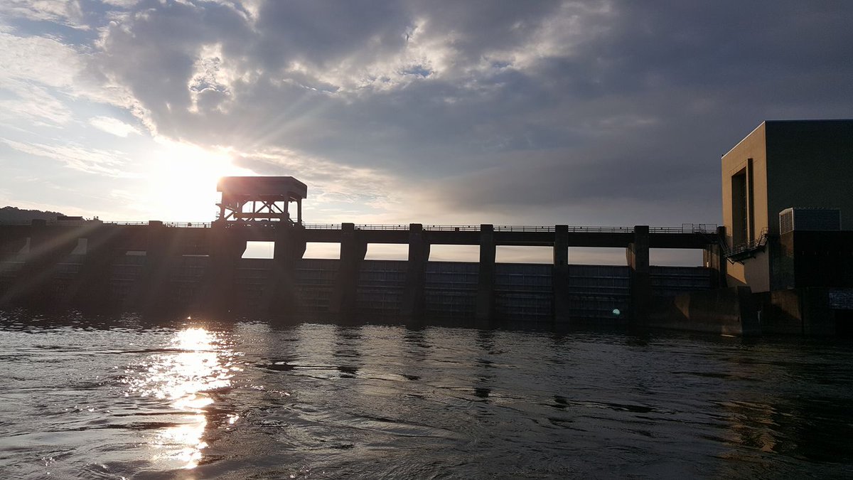 Maximum Catfishing tweet media