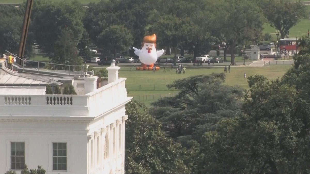 AvidPulse's tweet image. LOS TEXTOS SON INDEPENDIENTES