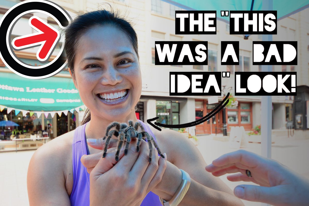 We’ve got everything from creepy crawlies to reptiles! Did you make it to this Chasepoint?