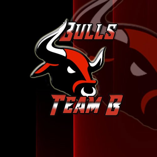 TeamBullsB's tweet photo. #NuevaFotoDePerfil
Muy agradecidos a @BoxooCR por nuestro nuevo logo, esta genial. 100% recomendable https://t.co/Q1Zg8n849s