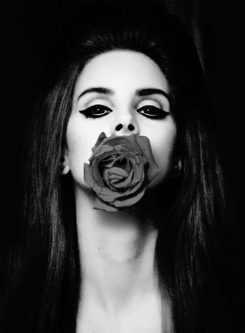 QueerRavenClaw_'s tweet photo. "A rose can never be a sunflower, and a sunflower can never be a rose. All flowers are beautiful in their own way." https://t.co/vmaLAFtViz