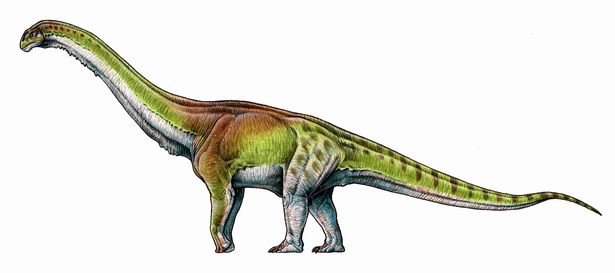 DiarioLibre's tweet photo. Descubren nuevo dinosaurio tres veces más grande que el Tiranosaurio Rex https://t.co/OK13WdjcS9 https://t.co/PTMmQqo2mN