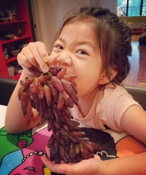 graperygrapes's tweet image. Tear Drops are available now. So sweet and fun to eat!! 🍇#grapery #teardropsgrapes