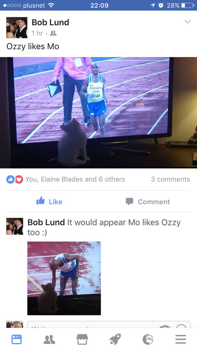 Mate posted a picture of his kitten looking at Mo Farah. It appears that Mo likes cats. <a href="/BBCSport/">BBC Sport</a> #London2017 <a href="/Mo_Farah/">Sir Mo Farah</a> @IAAFWorldChamps