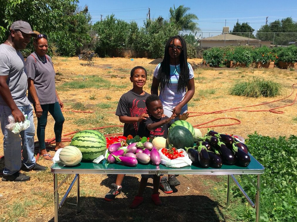 HHI360's tweet photo. El Pueblo Community Garden 200+ lbs of watermelon, cantaloupe, tuscan melon, zucchini, cucumbers, eggplants, and peppers harvested last week https://t.co/Sn38bOS8G3