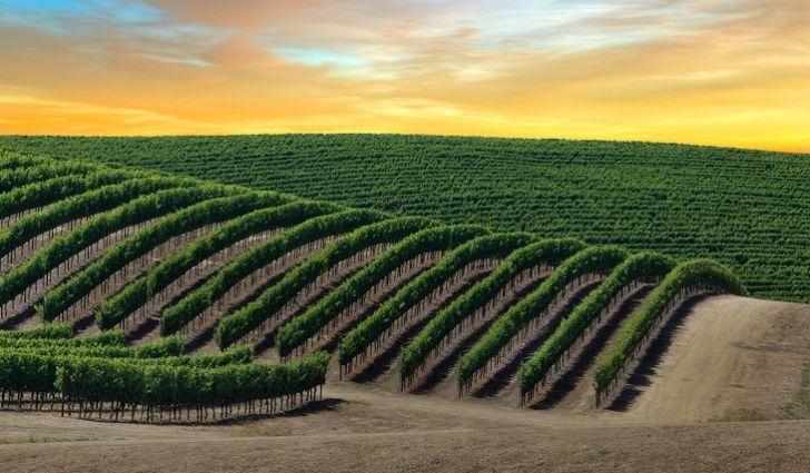 Sonoma.com (@sonoma) on Twitter