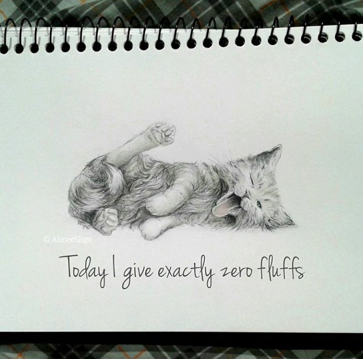 PeskyPukeko's tweet photo. #ThrowbackThursday made this little drawing a while back 😅 #zerofluffsgiven 🐱 https://t.co/90NOtj9wOE